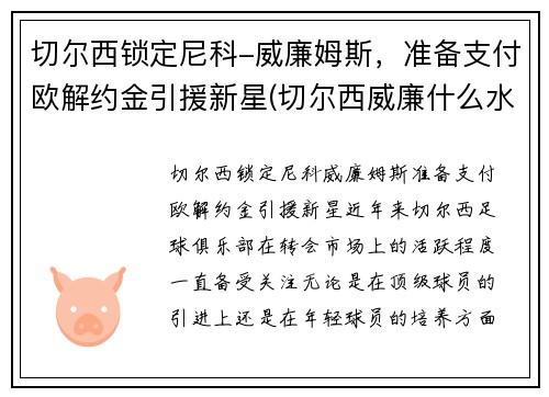 切尔西锁定尼科-威廉姆斯，准备支付欧解约金引援新星(切尔西威廉什么水平)