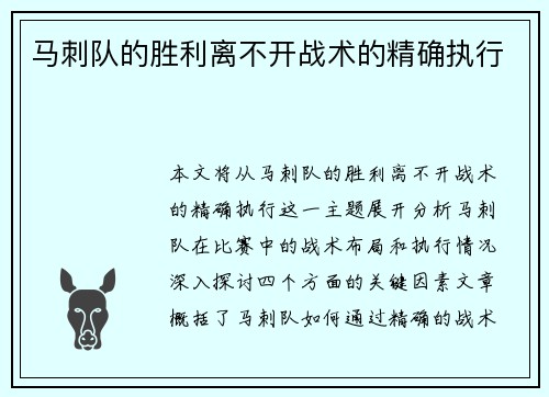 马刺队的胜利离不开战术的精确执行
